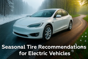 Seasonal Tire Recommendations for Electric Vehicles