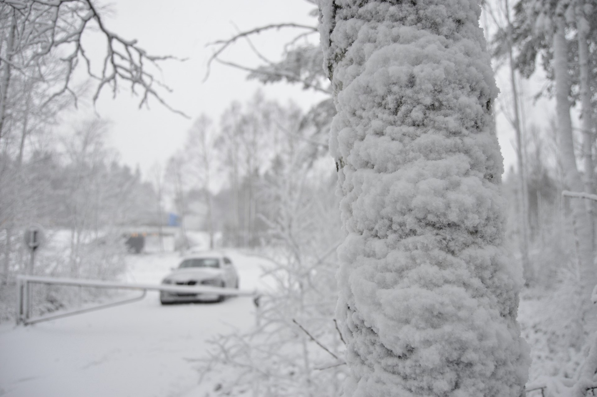 Winter wonderland! Always use good snow tires when nature calls for it!
